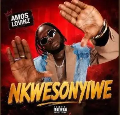 Nkwesonyiwe by Amos Lovinz